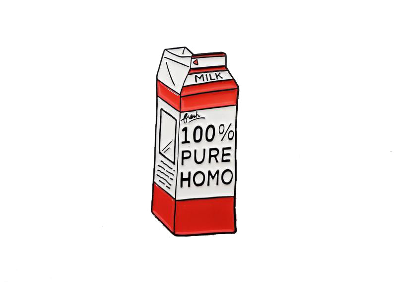 Milk Carton: 100% Pure Homo Pin